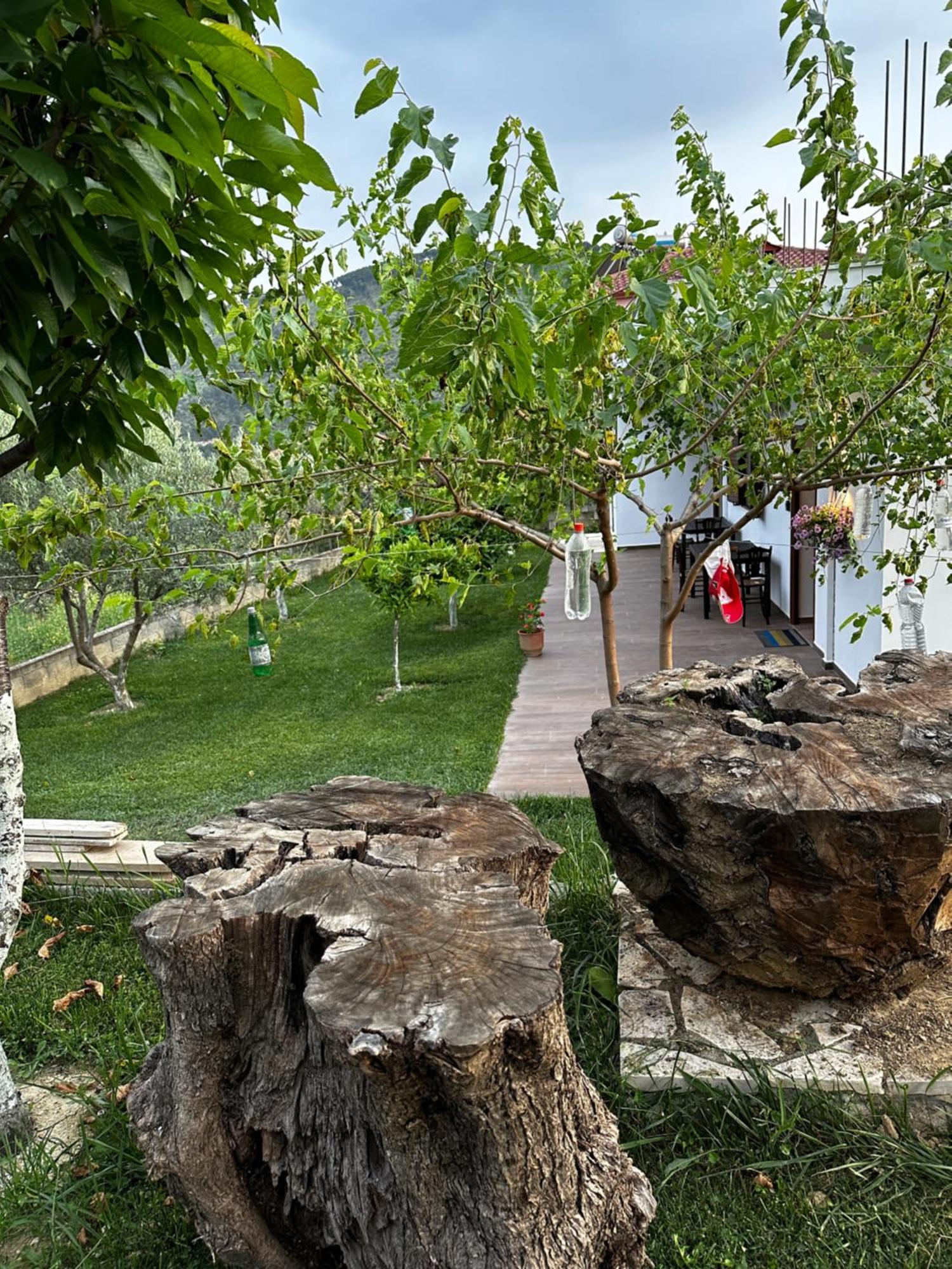Guest House Gorani Berat Exterior photo